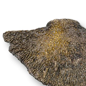 Мебельная ручка PullCast FUNGI EA1032