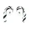 Apple AirPods Pro 2nd gen with MagSafe USB-C (2023) Zebra