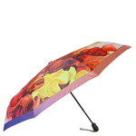 Зонт Fabretti UFS0086-6