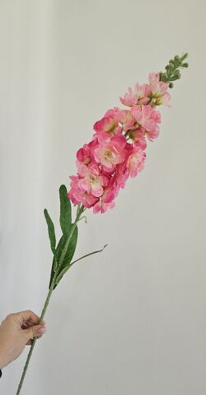 Дельфиниум / Арт 2356