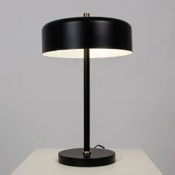 Декоративная настольная лампа Arte Lamp