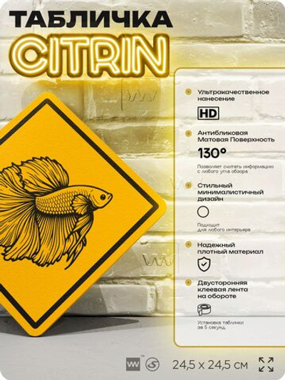 Табличка декоративная "Рыба петушок" на дверь и стену, информационная и предупреждающая, декоративный знак, 24,5х24,5 см, пластиковая, Айдентика Технолоджи