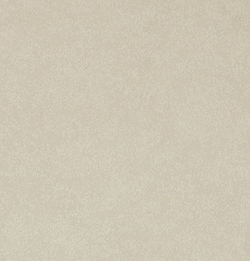 Микровелюр Акура 06