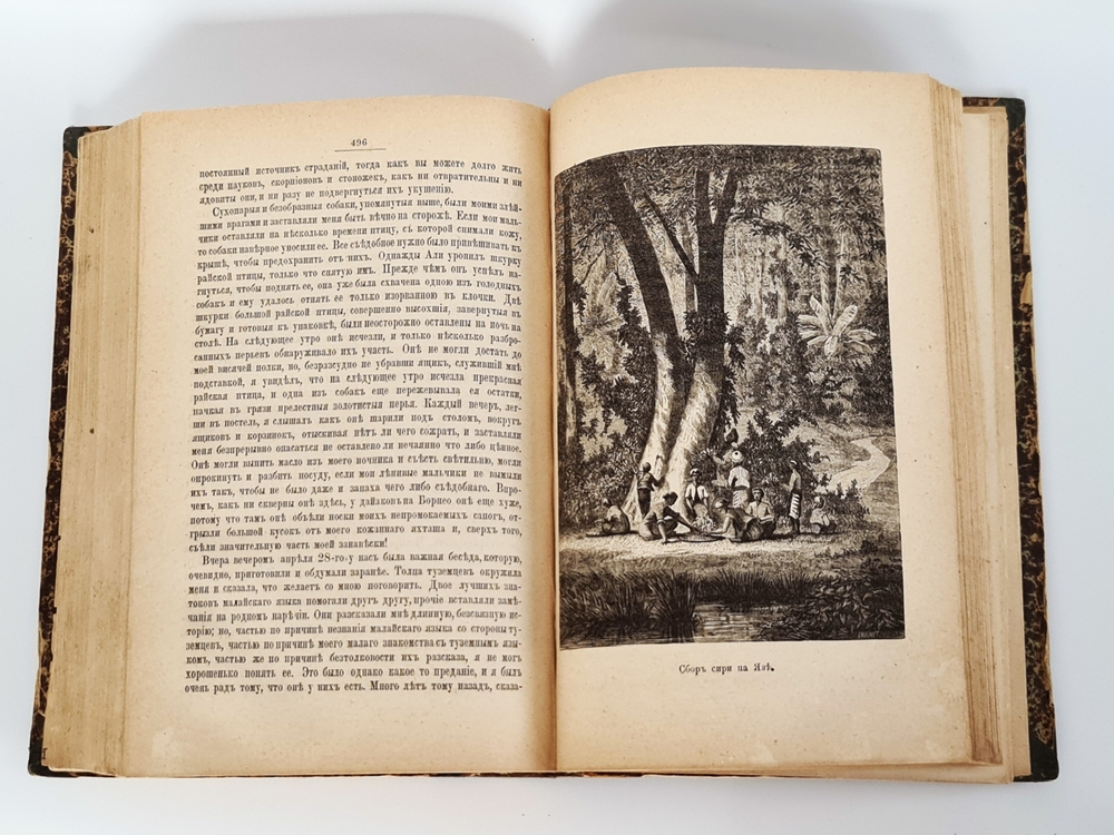 "Малайский архипелаг: Страна оранг-утана и райской птицы". А.Р.Уоллес. 1872г.