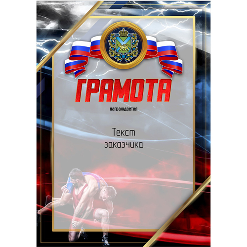 PNDiploma-052 с текстом