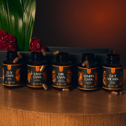 LUX GYAN Аюрведический комплекс ЛЮКС ГЯН Очищение кишечника 60шт