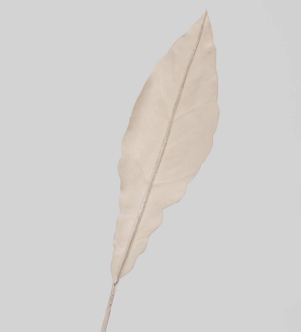 TR 605M Антуриум