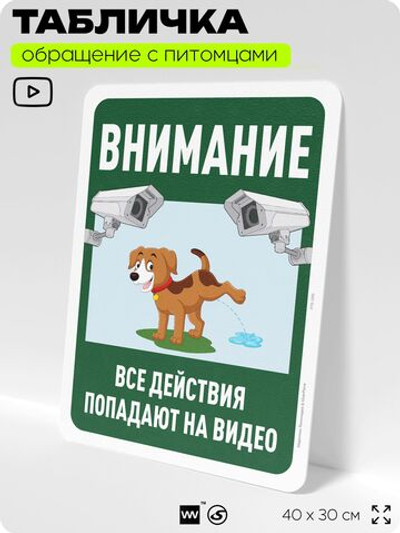 Табличка "Внимание, все действия попадают на видео" на дверь и забор, для двора, дома, подъезда, 40х30 см, Silver Plane x Айдентика Технолоджи