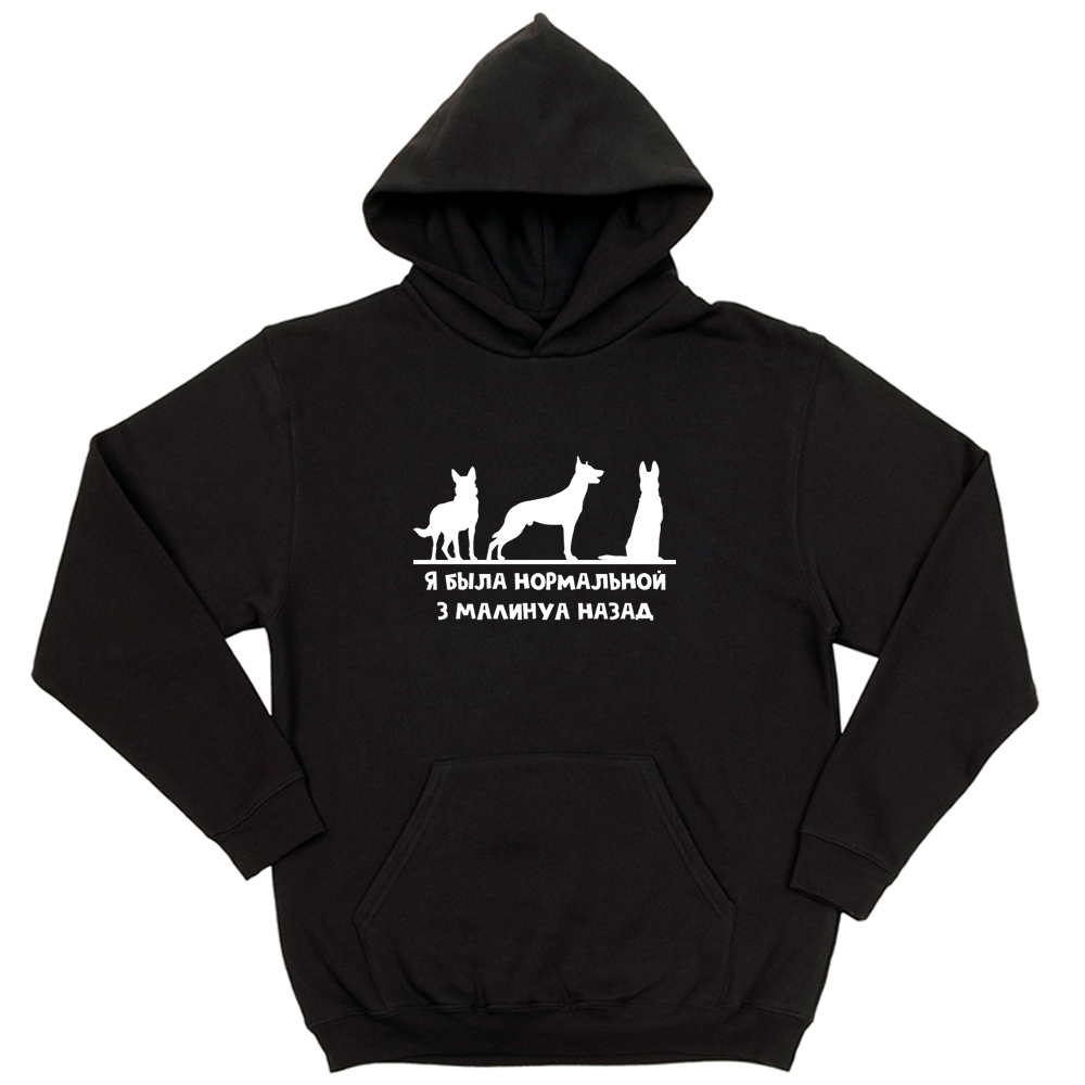 Толстовка "3 Малинуа назад"