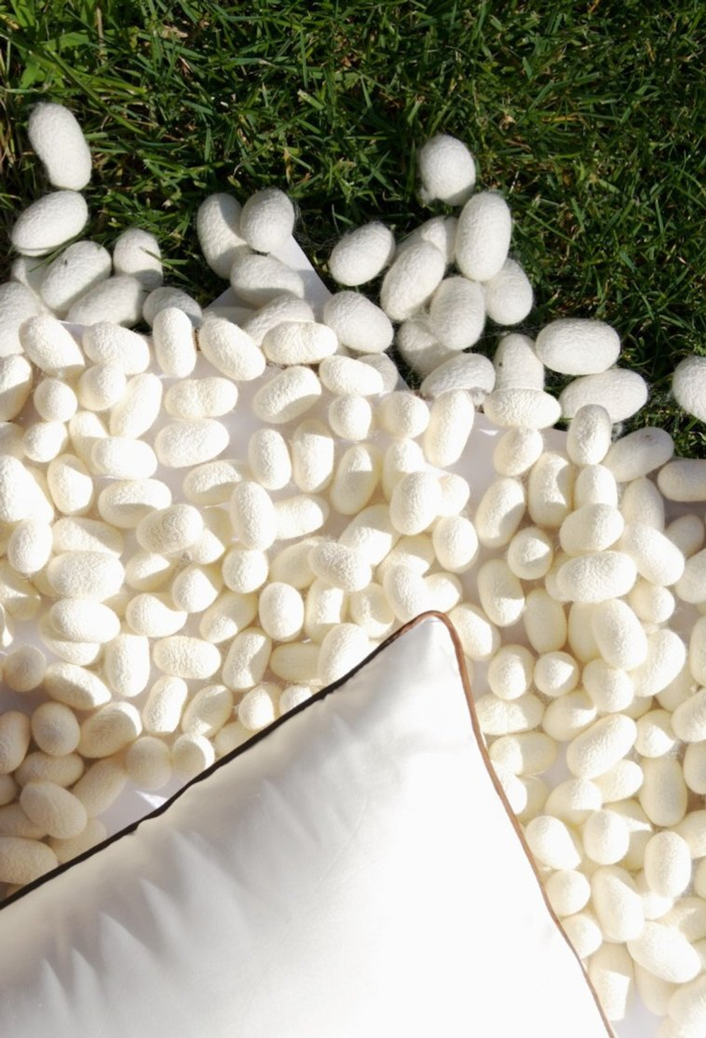 Наволочка 50х80 Silkow Venezia белая с коричневым кантом