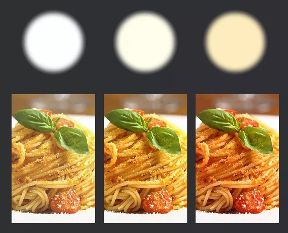 E-IMAGE E-352R Bi-color Panel LED light Светодиодный осветитель