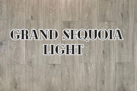 Grand Sequoia Light