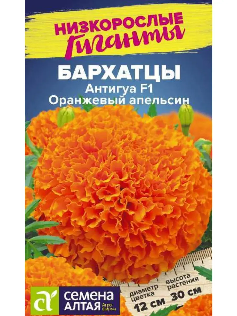 Семена цветов бархатцев Антигуа F1 Оранжевый апельсин 5 шт