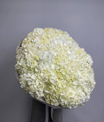 Снежная королева