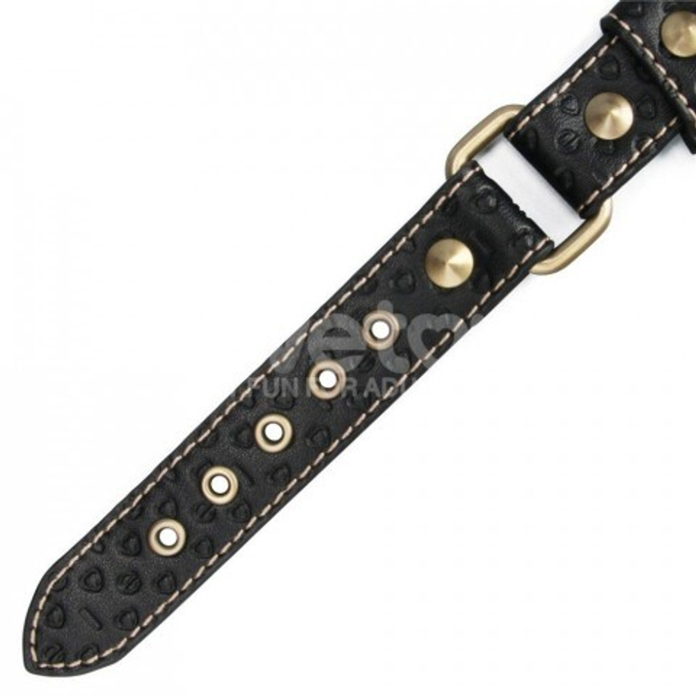 Ошейник с поводком в виде галстука Rebellion Reign