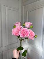 Пионовидная кустовая роза сорт ФАТАЛ