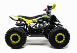 Квадроцикл MOTOLAND (МОТОЛЕНД) 125 RAPTOR A