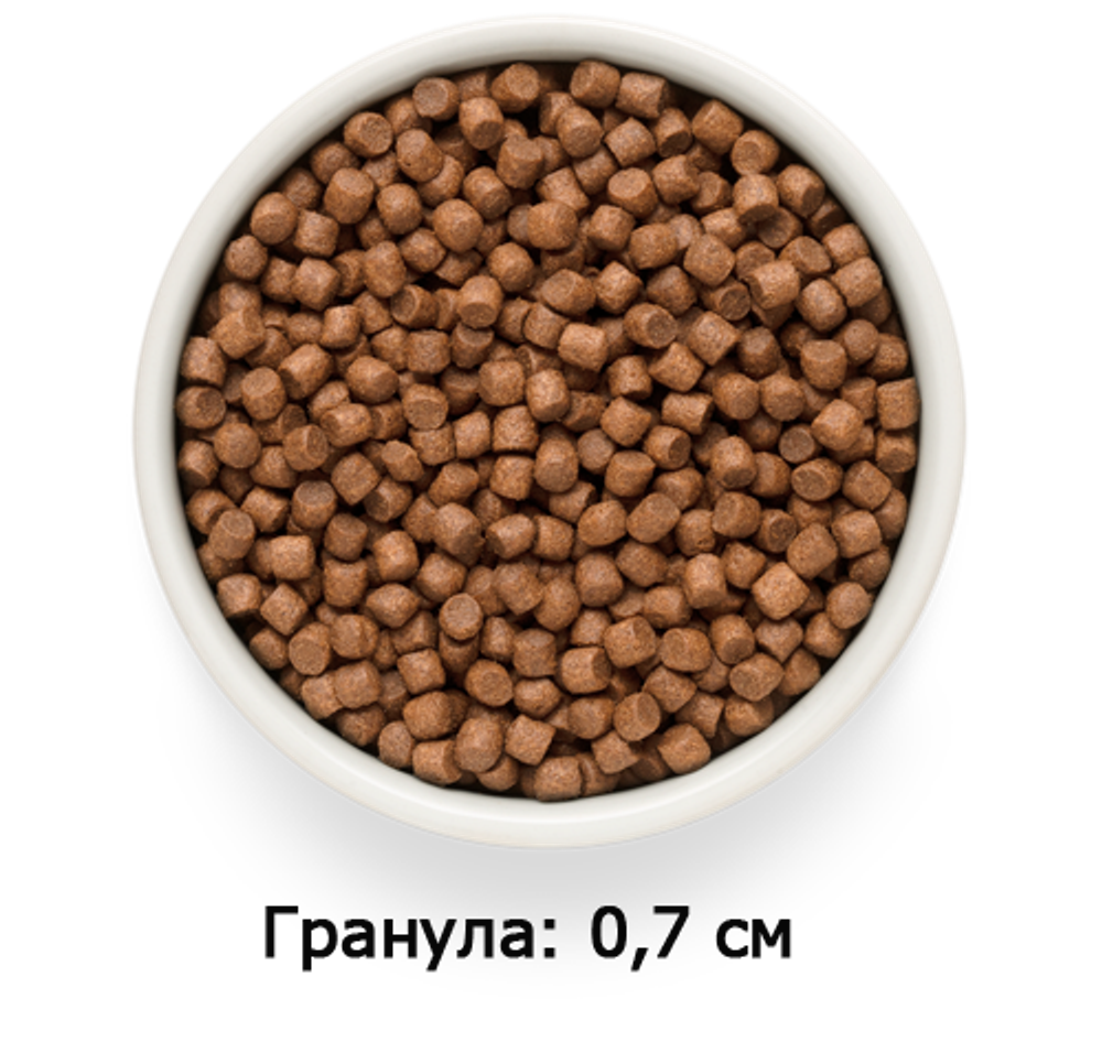 GRANDORF FRESH Mini Salmon & Potato Adult - лосось & батат для мини собак от 1 года (Биоразлагаемая упаковка)
