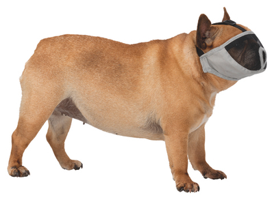 Намордник для собак Trixie Muzzle, размер S-M, серый