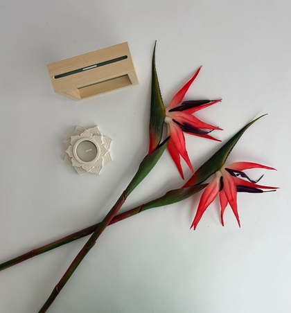 Цветок Стрелиции / Арт 2165