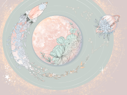 Коллекция COSMOS