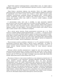 Охота на зайца | Г. Е. Рахманин