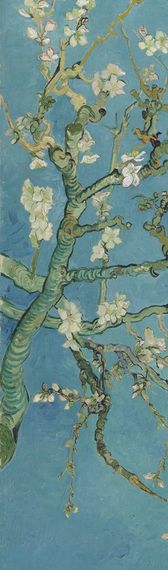 Əlfəcin Van Gogh 2