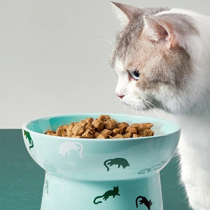 Керамическая миска для кошек и собак  PETKIT