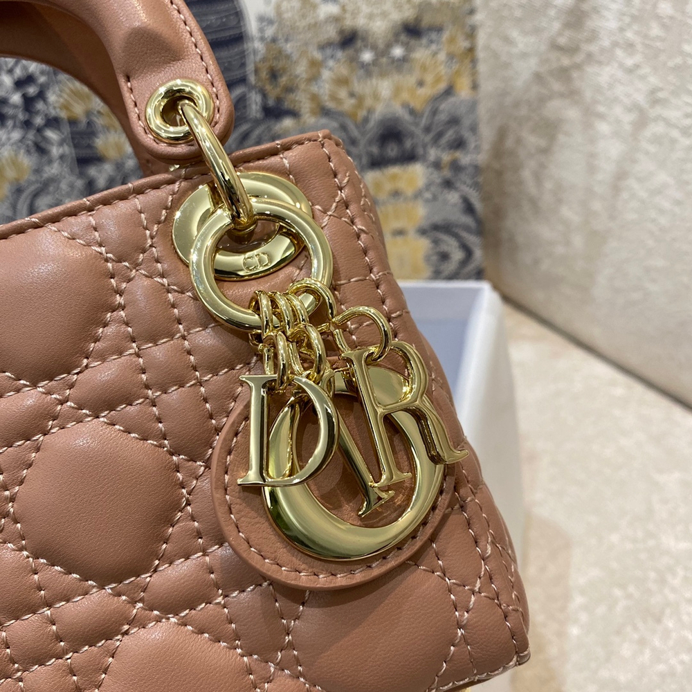 Christian Dior Lady Dior Micro