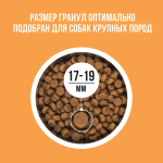 Сухой корм для собак крупных пород с индейкой, курицей, тыквой BOWL WOW 10кг