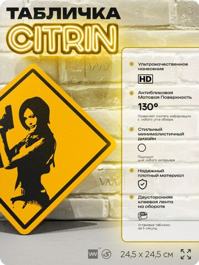Табличка декоративная "Ада Вонг, Resident Evil" на дверь и стену, прикольная штука в подарок геймеру, декоративный знак, 24,5х24,5 см, Айдентика Технолоджи