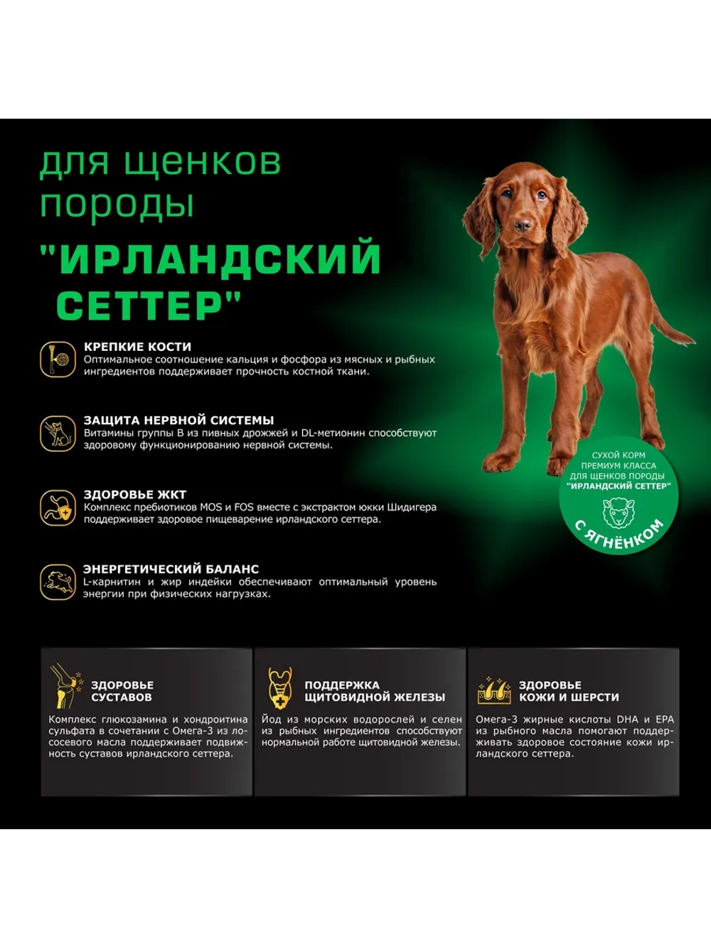 Корм для щенков породы Ирландский сеттер, с ягненком, 12 кг