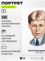 Портрет для школы в кабинет литературы и русского языка "Есенин Сергей Александрович", стенд школьный для класса, для оформления классного уголка, 40х30 см, Silver Plane x Айдентика Технолоджи