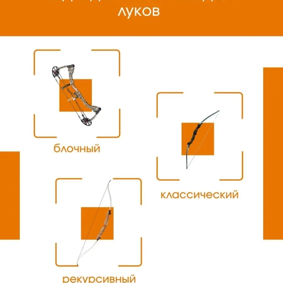 Стрелы для лука охотничьи 80см микс карбоновые спортивные Groza 12шт