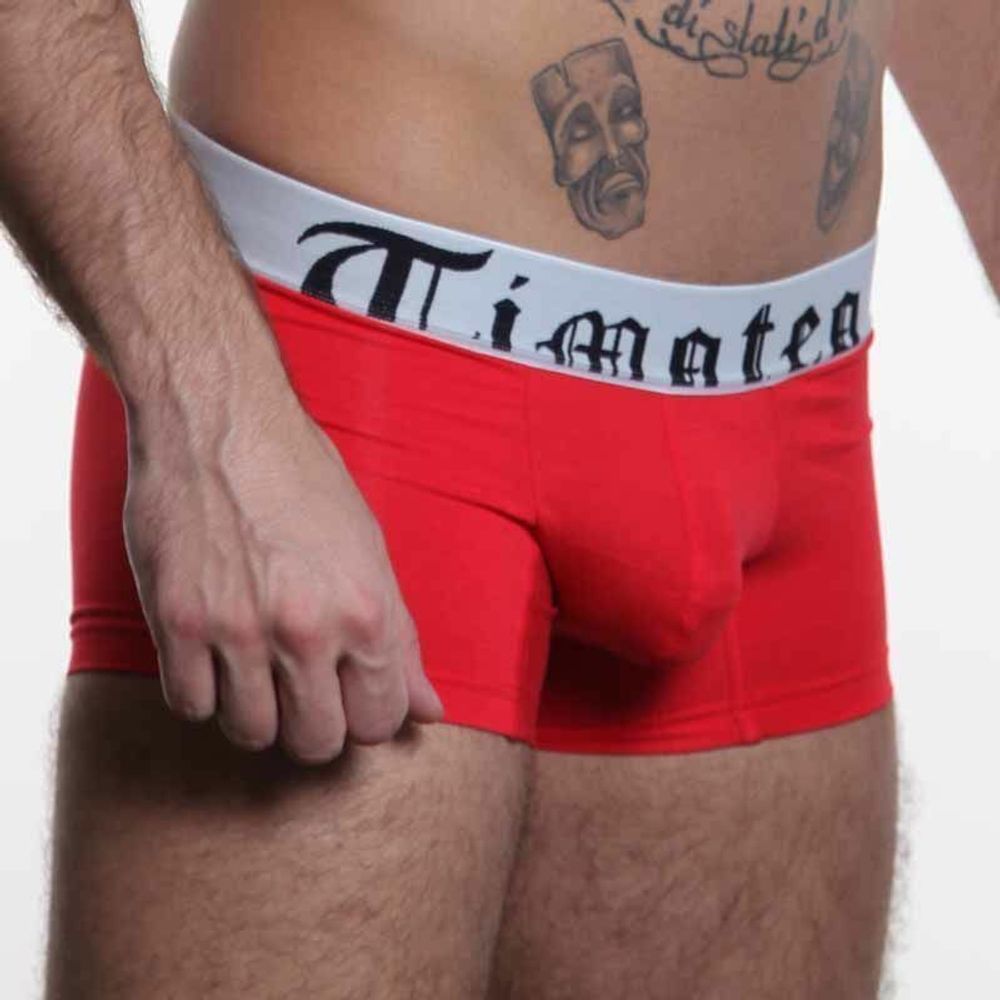 Мужские трусы хипсы Timoteo Classic Trunk Red