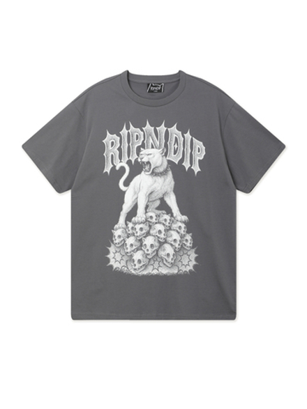 Мужская Футболка Wasteland