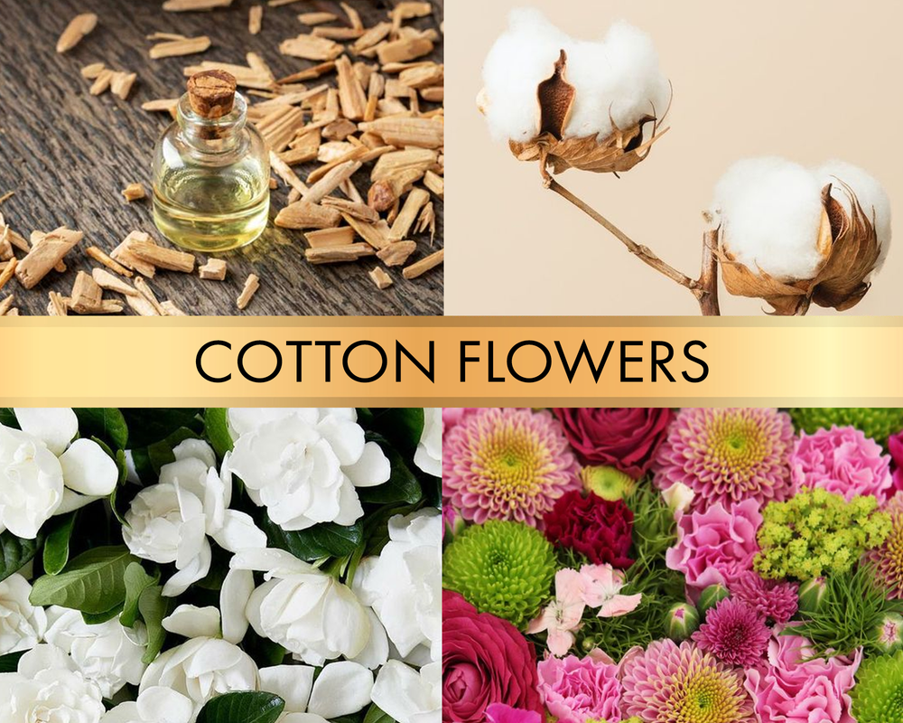 Cotton flowers (Цветы хлопка)