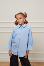 Блуза дл/р швейн. д/д DELORAS 63837C