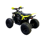 Квадроцикл MotoLand VOX125 RAPTOR