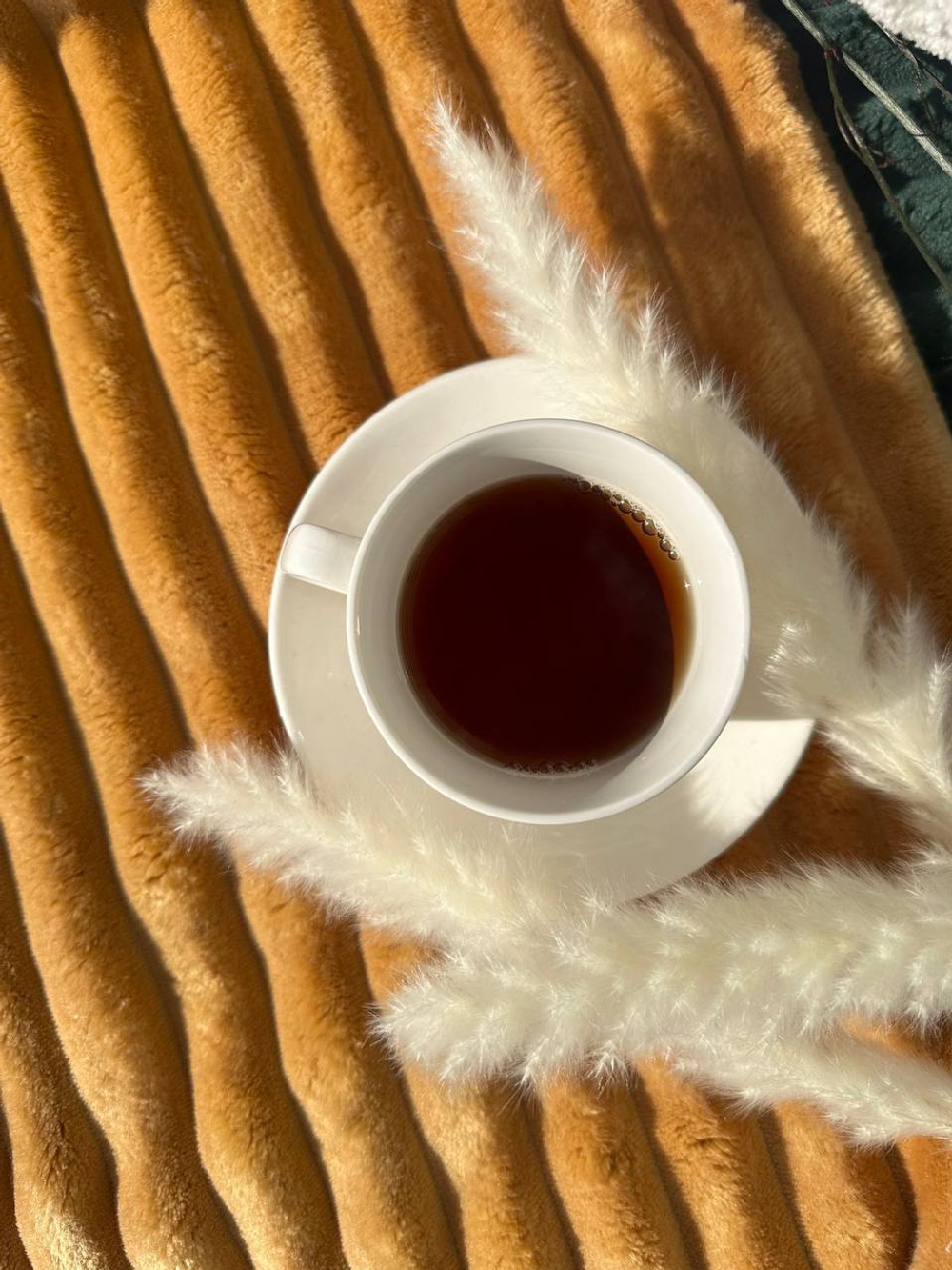 Велюр Therapy (Терапия) 005