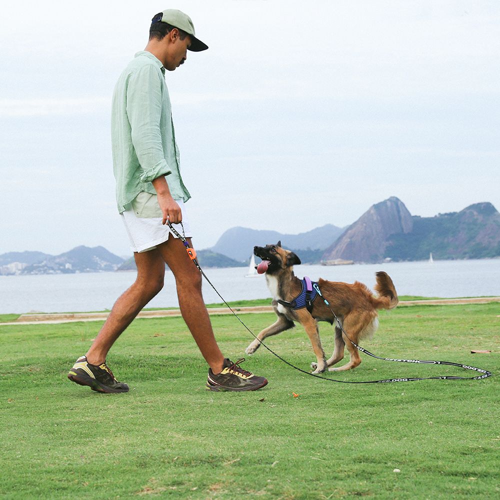 Регулируемый поводок PRIMO 175-300 см Zee.Dog