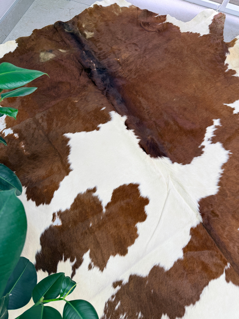 Коровья шкура на пол натуральная. 200 х 190 см