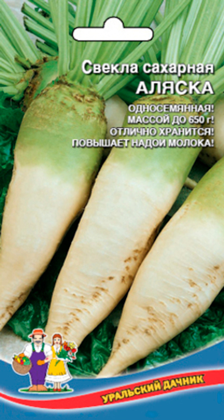 Свекла Аляска F1 2 гр сахарная Уральский Дачник