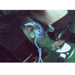 Металлоискатель XP Deus 2 с катушкой 22 FMF (9") блоком и наушниками BH-01