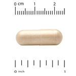 California Gold Nutrition, MEM Boost™, добавка для поддержки памяти и когнитивных функций с альфа-ГФХ, экстрактом ежовика гребенчатого, экстрактом кофейных плодов и фосфатидилсерином, 60 растительных капсул