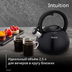 Чайник для плиты Tefal Intuition 2.5 л N4180417
