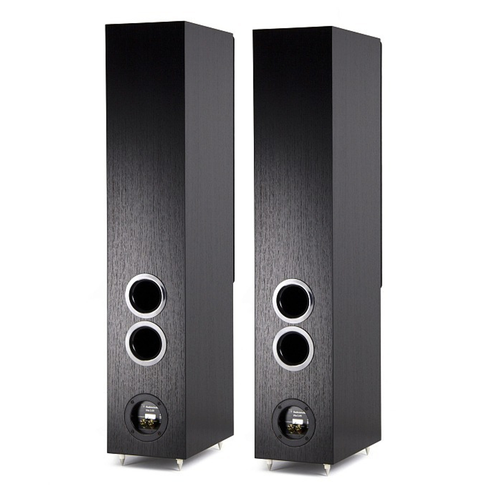 Radiotehnika Vita 2.05 Black Ash полочная профессиональная акустическая система (пара)