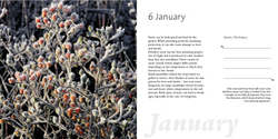 A Year in the Garden. 365 Inspirational Gardens and Garden Tips