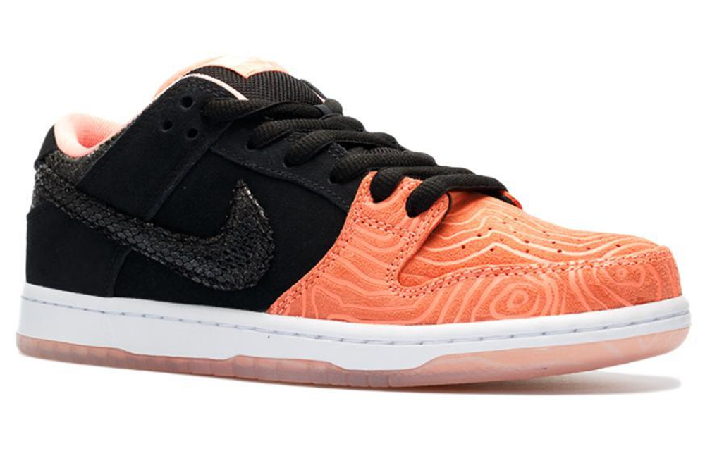 Nike Dunk Sb Premier Fish Ladder