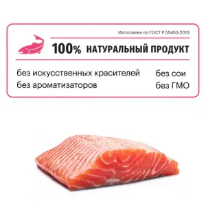 Сухой корм Karmy Sensitive Mini для взрослых собак мелких пород с чувствительным пищеварением, с лососем